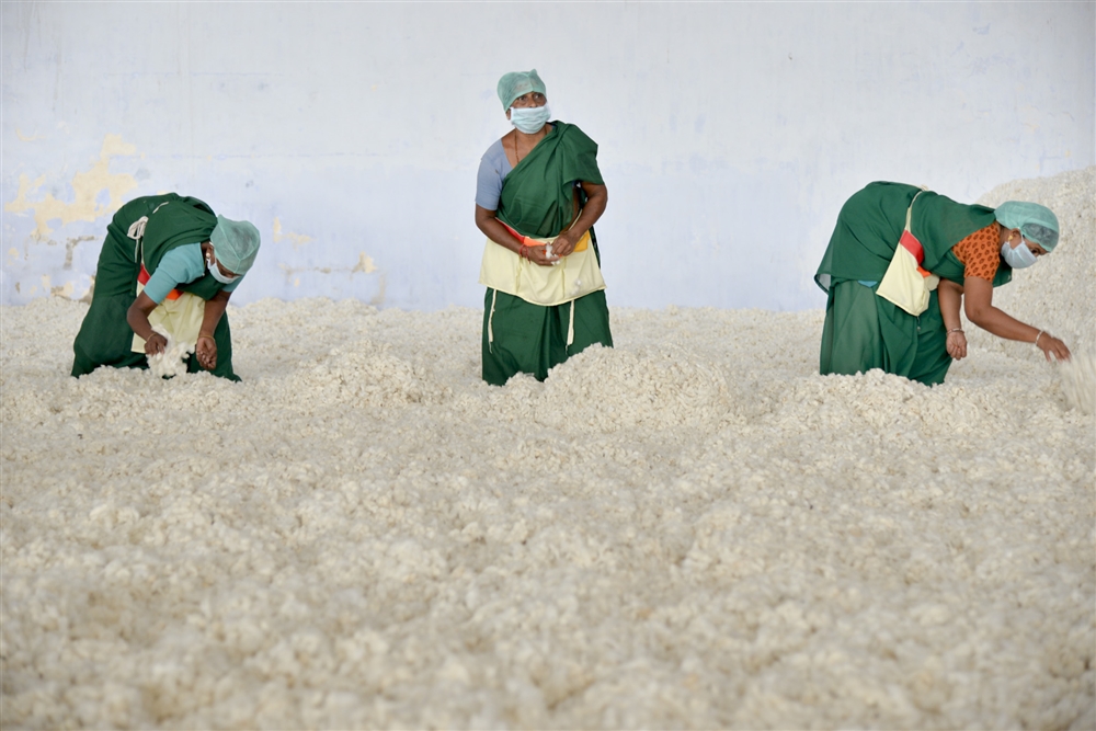 国産綿の自給率０％という現状が抱える問題